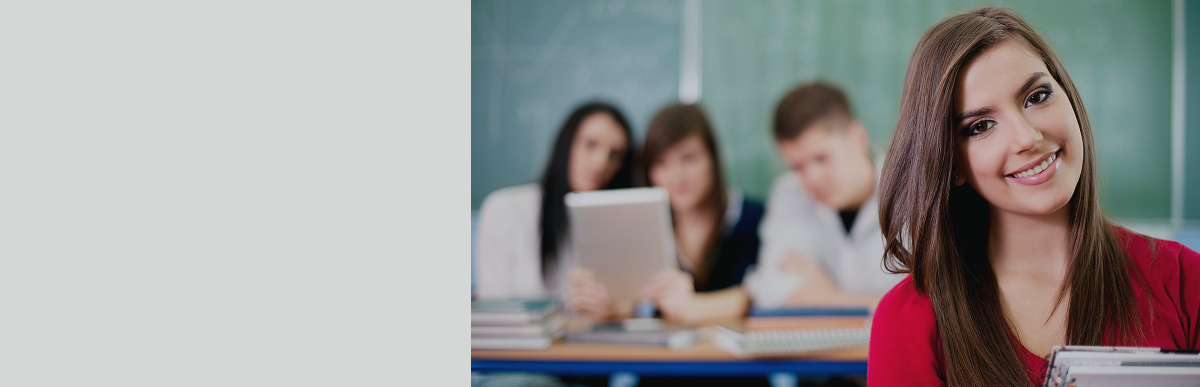 WordPress development